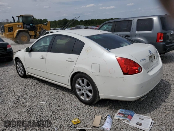 2008 Nissan Maxima 3.5 SE with VIN 1N4BA41E68C801703, listed as a Copart auction lot 71261864 with 256,018 mi miles and Salvage Title. Bid and sale history available at carsss.com. Image 2.