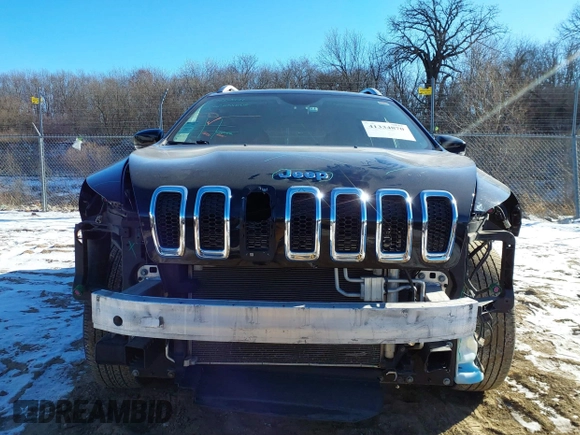 2017 Jeep Cherokee Limited with VIN 1C4PJMDS2HW636670, listed as a IAAI auction lot 41334870 with 122,973 mi miles. Bid and sale history available at carsss.com. Image 6.