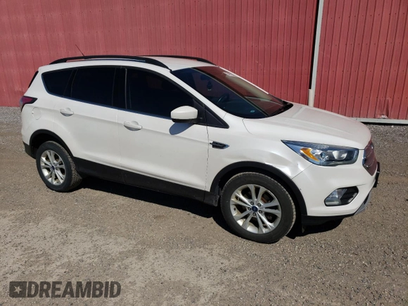 2017 Ford Escape SE with VIN 1FMCU0GD9HUA55234, listed as a Copart auction lot 54173385 with 216,896 mi miles and Clean Title. Bid and sale history available at DreamBid. Image 4.