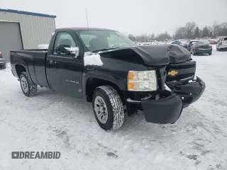 2013 Chevrolet Silverado 1500 Work Truck with VIN 1GCNCPEX3DZ284091, listed as a Copart auction lot 41699475 with 193,375 mi miles and Salvage Title. Bid and sale history available at DreamBid. Image 11.