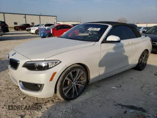 2017 BMW 2 Series 230i with VIN WBA2K9C31HV950554, listed as a Copart auction lot 44006705 with 0 mi miles and Salvage Title. Bid and sale history available at carsss.com. Image 1.