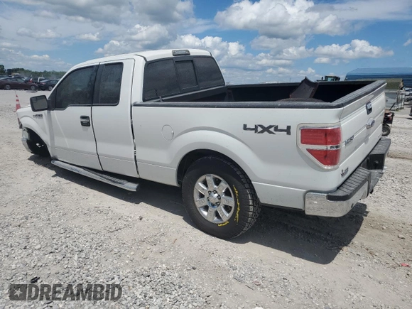 2013 Ford F-150 XL with VIN 1FTFX1EF4DFB02199, listed as a Copart auction lot 61959245 with 165,390 mi miles and Salvage title. Bid and sale history available at DreamBid. Image 2.