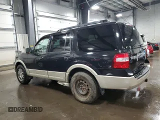 2010 Ford Expedition Eddie Bauer with VIN 1FMJU1J55AEB48542, listed as a Copart auction lot 49162835 with 171,100 mi miles and Salvage title. Bid and sale history available at DreamBid. Image 2.
