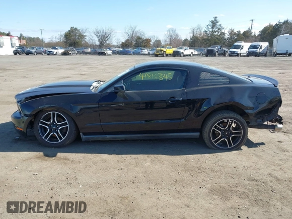 2010 Ford Mustang GT with VIN 1ZVBP8CH1A5152455, listed as a IAAI auction lot 41816345 with 261,275 mi miles and . Bid and sale history available at carsss.com. Image 15.