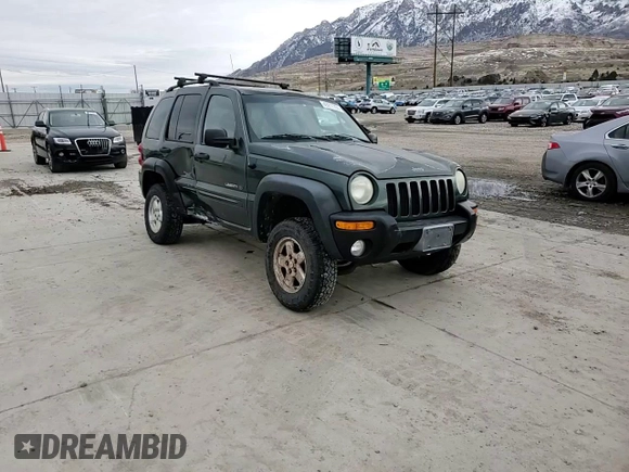 2002 Jeep Liberty Limited with VIN 1J4GL58K52W220933, listed as a Copart auction lot 49211765 with 189,095 mi miles and Salvage title. Bid and sale history available at DreamBid. Image 12.