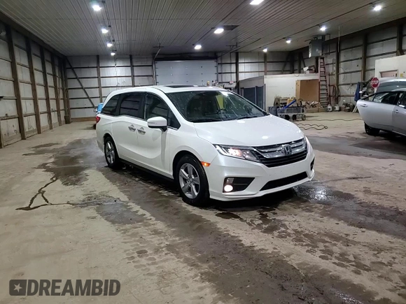 2019 Honda Odyssey EX-L with VIN 5FNRL6H70KB120310, listed as a Copart auction lot 51616445 with 124,398 mi miles and Salvage Title. Bid and sale history available at carsss.com. Image 12.