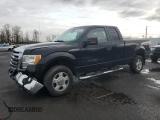 2010 Ford F-150 XL with VIN 1FTEX1E82AKE59753, listed as a Copart auction lot 49655665 with 123,135 mi miles and Salvage Title. Bid and sale history available at carsss.com. Image 1.