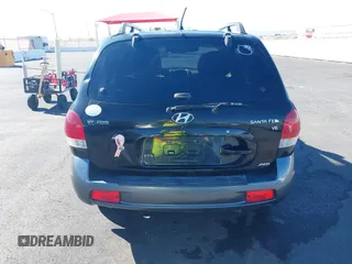 2006 Hyundai Santa Fe GLS with VIN KM8SC73D06U111314, listed as a IAAI auction lot 41874246 with 126,127 mi miles. Bid and sale history available at carsss.com. Image 14.