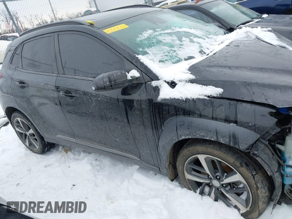 2019 Hyundai Kona Limited with VIN KM8K33A58KU240609, listed as a IAAI auction lot 41272652 with 123,045 mi miles. Bid and sale history available at carsss.com. Image 13.