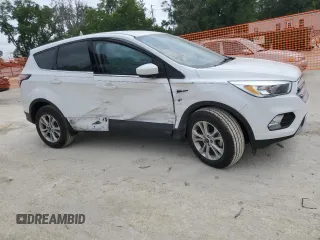 2017 Ford Escape SE with VIN 1FMCU0GD9HUE00634, listed as a Copart auction lot 53939945 with 102,109 mi miles and Salvage Title. Bid and sale history available at DreamBid. Image 4.