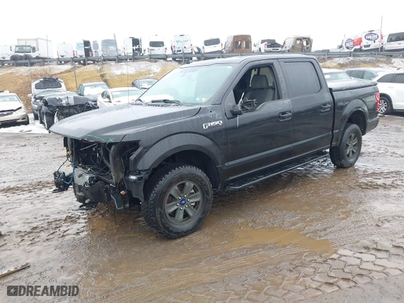 2020 Ford F-150 XL with VIN 1FTEW1E44LFC09443, listed as a IAAI auction lot 41493323 with 28,904 mi miles. Bid and sale history available at carsss.com. Image 18.