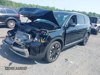 2023 Kia Telluride SX X-Pro с VIN 5XYP5DGC0PG343354, выставлен на аукционе IAAI как лот 42463746 с пробегом 30 916 миль миль и . История ставок и продаж доступна на DreamBid. Изображение 17.