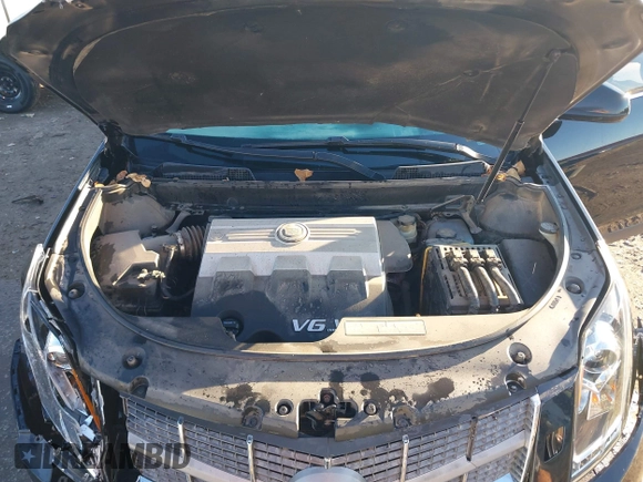 2010 Cadillac SRX Premium Collection with VIN 3GYFNCEY9AS521993, listed as a IAAI auction lot 41154875 with 219,713 mi miles. Bid and sale history available at carsss.com. Image 10.