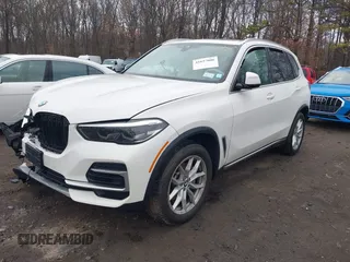 2023 BMW X5 xDrive40i with VIN 5UXCR6C08P9P06767, listed as a IAAI auction lot 41657006 with Not Provided miles and . Bid and sale history available at DreamBid. Image 2.