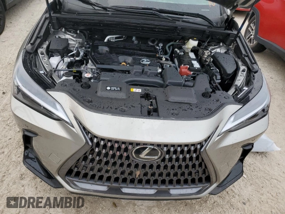 2025 Lexus NX with VIN 2T2GDCAZ1SC020425, listed as a Copart auction lot 74792664 with 252 mi miles and Non Repairable. Bid and sale history available at carsss.com. Image 12.