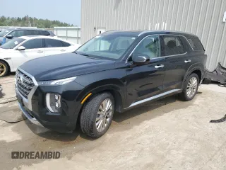 2020 Hyundai Palisade Limited with VIN KM8R5DHEXLU167507, listed as a Copart auction lot 60720675 with 112,881 mi miles and Salvage title. Bid and sale history available at DreamBid. Image 1.