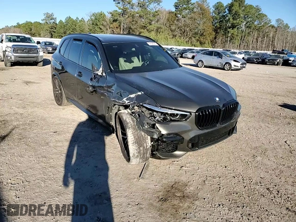 2022 BMW X5 sDrive40i with VIN 5UXCR4C02N9J39621, listed as a Copart auction lot 87696995 with 0 mi miles and Salvage Title. Bid and sale history available at carsss.com. Image 12.