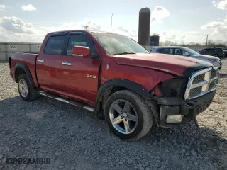 2009 Dodge Ram 1500 Sport with VIN 1D3HB13T89J502052, listed as a Copart auction lot 48905905 with 239,835 mi miles and Salvage Title. Bid and sale history available at carsss.com. Image 4.