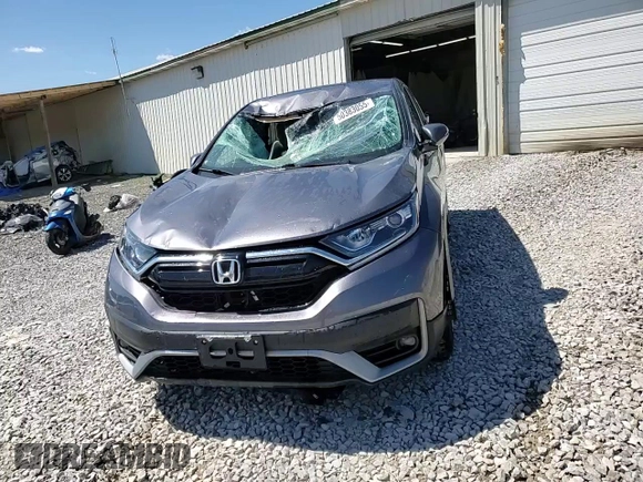2020 Honda CR-V EX with VIN 7FARW2H52LE020925, listed as a Copart auction lot 50383055 with 45,290 mi miles and Salvage Title. Bid and sale history available at carsss.com. Image 14.