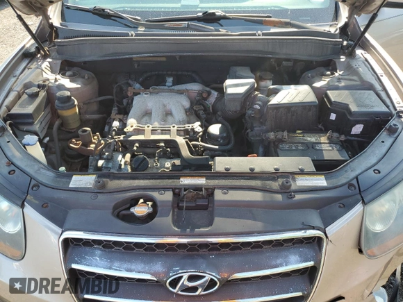 2007 Hyundai Santa Fe SE with VIN 5NMSH13E87H011742, listed as a Copart auction lot 57770685 with 140,047 mi miles and Salvage title. Bid and sale history available at DreamBid. Image 12.