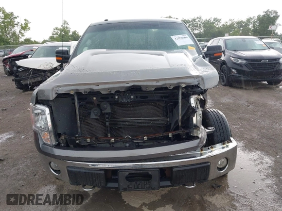 2010 Ford F-150 XL with VIN 1FTEX1E83AFD64062, listed as a IAAI auction lot 42550600 with 135,059 mi miles and . Bid and sale history available at DreamBid. Image 13.