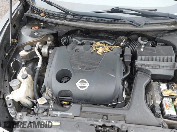 2014 Nissan Maxima S with VIN 1N4AA5AP5EC498296, listed as a IAAI auction lot 42190460 with 199,185 mi miles and . Bid and sale history available at DreamBid. Image 10.