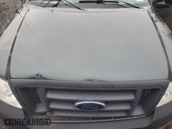 2005 Ford F-150 XL z VIN 1FTVF12575NB23159, wystawiony jako Copart lot #84847554 z przebiegiem Nie podano mil oraz Szkoda całkowita • Salvage title. Historia ofert i sprzedaży dostępna na DreamBid. Obrazek 11.