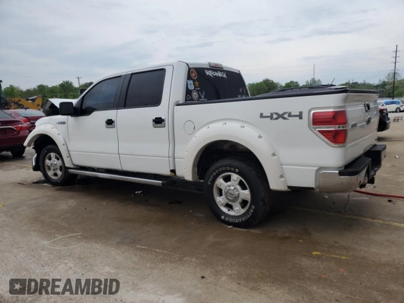 2009 Ford F-150 XL with VIN 1FTRW14869FA71810, listed as a Copart auction lot 55146085 with 191,405 mi miles and Non repairable. Bid and sale history available at DreamBid. Image 2.
