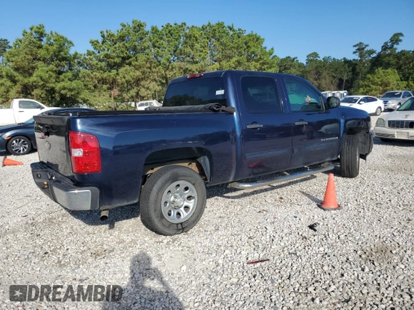 2009 Chevrolet Silverado 1500 LT with VIN 2GCEC23C491102403, listed as a Copart auction lot 74260974 with 161,318 mi miles and Salvage Title. Bid and sale history available at DreamBid. Image 3.