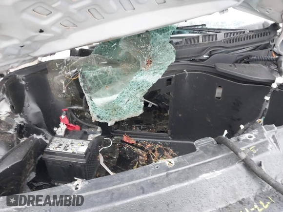 2023 Ford F-150 Lightning Pro with VIN 1FT6W1EV8PWG05765, listed as a IAAI auction lot 41461450 with Not Provided miles and . Bid and sale history available at DreamBid. Image 10.