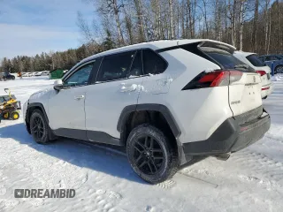 2019 Toyota RAV4 XLE with VIN 2T3W1RFV9KW016629, listed as a Copart auction lot 43346345 with 93,819 mi miles and Clean Title. Bid and sale history available at carsss.com. Image 2.