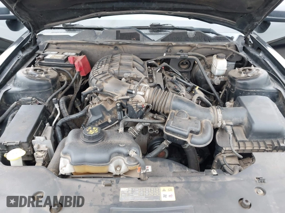 2012 Ford Mustang Premium с VIN 1ZVBP8AM9C5273477, выставлен на аукционе IAAI как лот 42795526 с пробегом 111 438 миль миль и . История ставок и продаж доступна на DreamBid. Изображение 10.