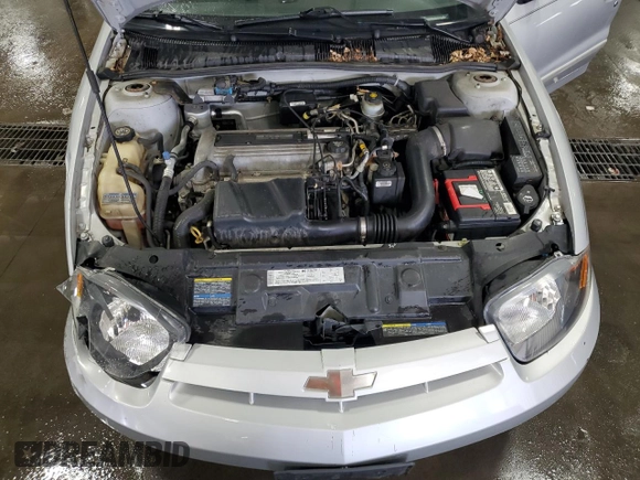 2004 Chevrolet Cavalier with VIN 1G1JC52F847142712, listed as a Copart auction lot 53798765 with 39,744 mi miles and Salvage Title. Bid and sale history available at DreamBid. Image 11.