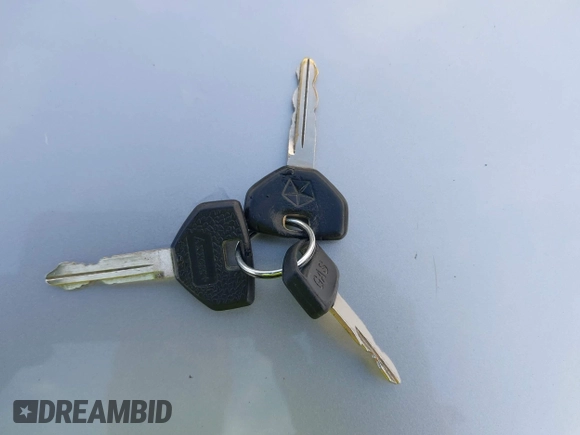 2000 Dodge 1500 z VIN 3B7HF13Z9YG138645, wystawiony jako IAAI lot #42298492 z przebiegiem 138 898 mil mil oraz . Historia ofert i sprzedaży dostępna na DreamBid. Obrazek 11.