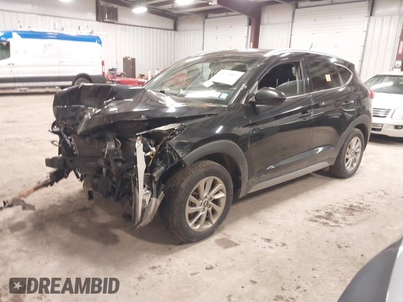 2017 Hyundai Tucson SE with VIN KM8J3CA42HU293608, listed as a IAAI auction lot 41228892 with 140,229 mi miles. Bid and sale history available at carsss.com. Image 2.