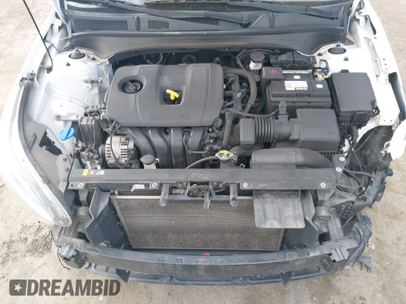 2019 Kia Forte LXS z VIN 3KPF24AD2KE042693, wystawiony jako IAAI lot #41902468 z przebiegiem 126 516 mil mil oraz . Historia ofert i sprzedaży dostępna na DreamBid. Obrazek 10.