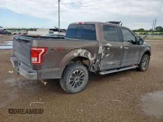 2016 Ford F-150 XLT with VIN 1FTEW1EF3GKD36571, listed as a Copart auction lot 59900635 with 205,664 mi miles and Salvage title. Bid and sale history available at DreamBid. Image 3.