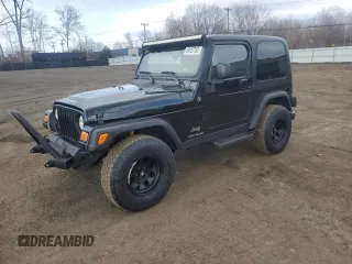2006 Jeep Wrangler Sport with VIN 1J4FA49S66P782348, listed as a Copart auction lot 49187765 with 131,123 mi miles and Clean Title. Bid and sale history available at carsss.com. Image 1.