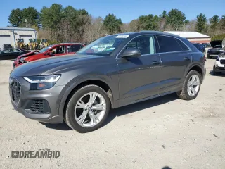 2019 Audi Q8 Premium Plus with VIN WA1BVAF19KD018356, listed as a Copart auction lot 53423485 with 120,055 mi miles and Clean Title. Bid and sale history available at carsss.com. Image 1.
