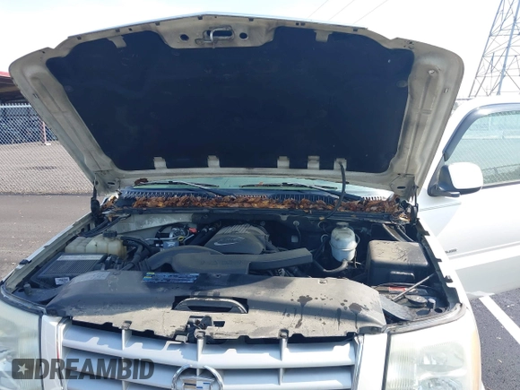 2005 Cadillac Escalade z VIN 1GYEC63T55R114823, wystawiony jako IAAI lot #41931065 z przebiegiem Nie podano mil oraz . Historia ofert i sprzedaży dostępna na DreamBid. Obrazek 10.