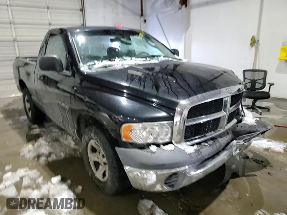 2002 Dodge 1500 with VIN 1D7HA16K52J247726, listed as a Copart auction lot 86604754 with Not Provided miles and Salvage Title. Bid and sale history available at DreamBid. Image 10.