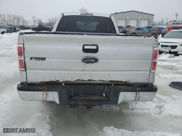 2010 Ford F-150 XL with VIN 1FTEX1E85AFD29099, listed as a Copart auction lot 45636035 with 172,919 mi miles and Salvage Title. Bid and sale history available at carsss.com. Image 6.