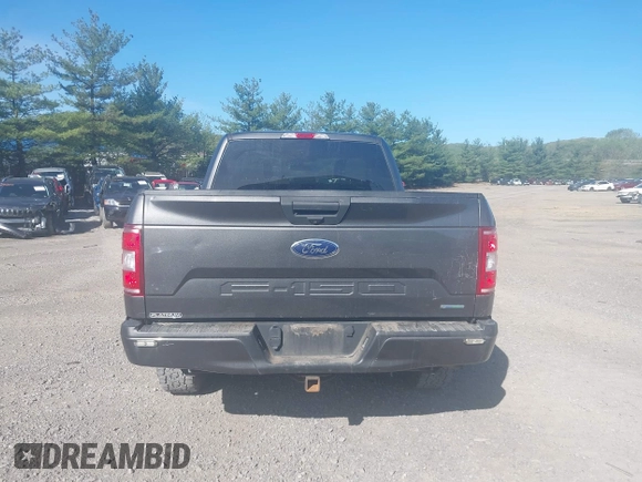 2019 Ford F-150 XL with VIN 1FTEX1EP1KKC64106, listed as a IAAI auction lot 42161813 with 127,387 mi miles. Bid and sale history available at carsss.com. Image 16.