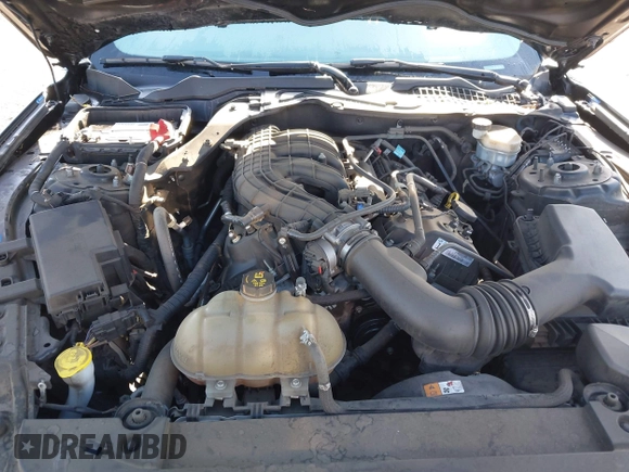 2017 Ford Mustang V6 with VIN 1FA6P8AM0H5272817, listed as a IAAI auction lot 41938576 with Not provided miles and . Bid and sale history available at DreamBid. Image 10.