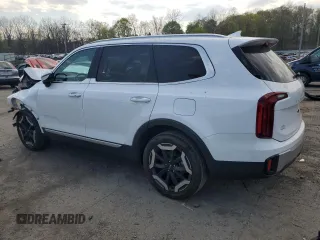 2023 Kia Telluride S with VIN 5XYP6DGC0PG384872, listed as a Copart auction lot 54167555 with 20,324 mi miles and Salvage title. Bid and sale history available at DreamBid. Image 2.