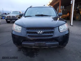 2009 Hyundai Santa Fe GLS with VIN 5NMSG13D29H275200, listed as a Copart auction lot 49262185 with 173,134 mi miles and Salvage Title. Bid and sale history available at carsss.com. Image 5.