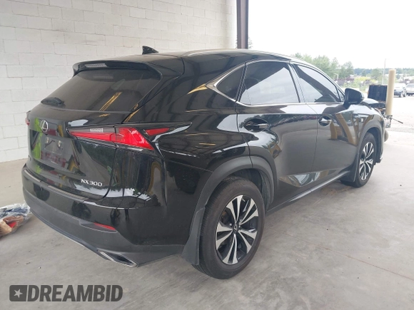 2018 Lexus NX 300 with VIN JTJBARBZ1J2163748, listed as a IAAI auction lot 42703096 with 75,290 mi miles and . Bid and sale history available at DreamBid. Image 4.