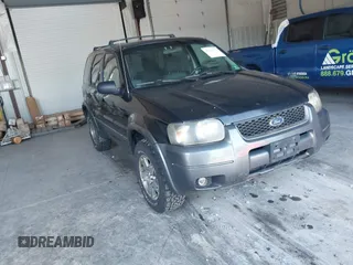 2004 Ford Escape XLT z VIN 1FMYU93114KB49698, wystawiony jako IAAI lot #42576733 z przebiegiem 317 848 mil mil oraz . Historia ofert i sprzedaży dostępna na DreamBid. Obrazek 1.