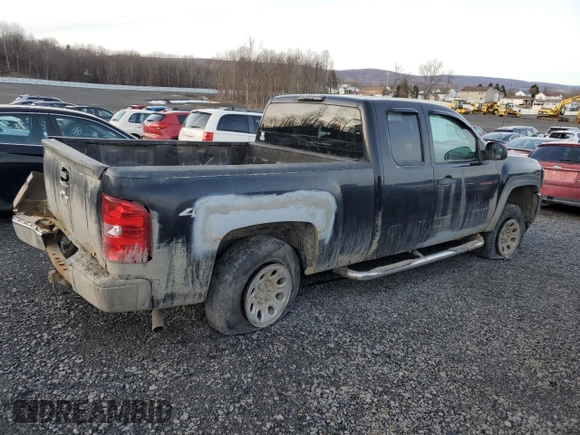 2010 Chevrolet Silverado 1500 LS with VIN 1GCSKREAXAZ161977, listed as a Copart auction lot 43327995 with Not Provided miles and Salvage Title. Bid and sale history available at DreamBid. Image 3.