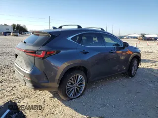 2023 Lexus NX 350h Luxury with VIN 2T2HKCEZ5PC014073, listed as a Copart auction lot 43215295 with Not Provided miles and Salvage Title. Bid and sale history available at DreamBid. Image 3.